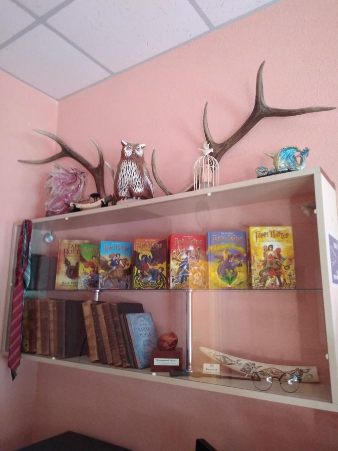 У Поттера Hostel Ternopil Kültér fotó