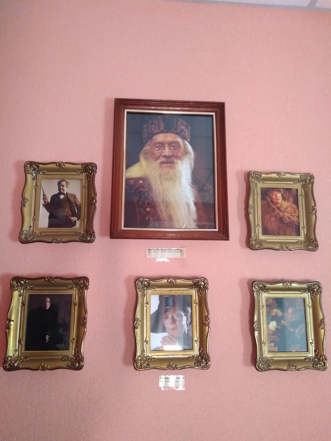 У Поттера Hostel Ternopil Kültér fotó